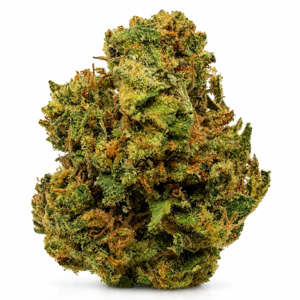HALIE BERRY (BUDGET) on the P60 Weed Delivery menu